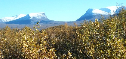 Lapporten med "florsockersnö"